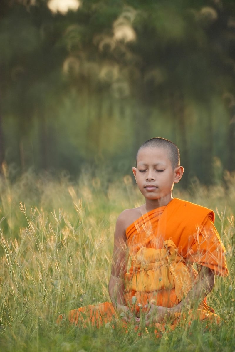 Mindfulness and Qi Gong